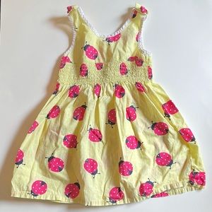 Gymboree pink and yellow polkadot lady bug dress